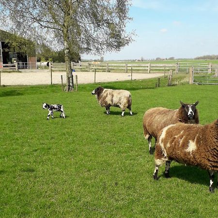 B & B De Gouwe Plek Hoogwoud エクステリア 写真